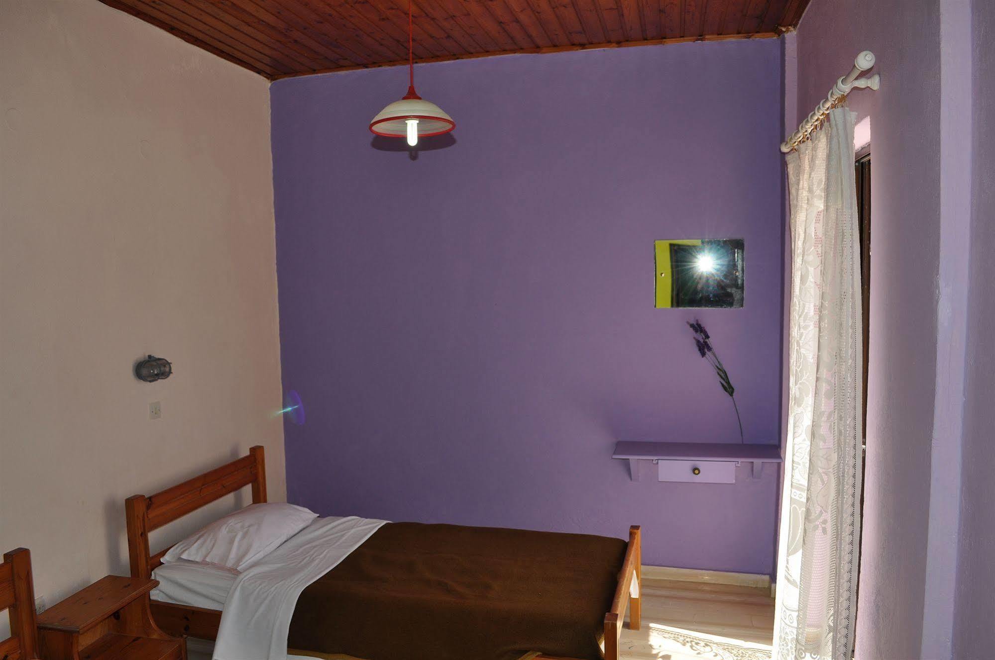 Comfy Hostel *